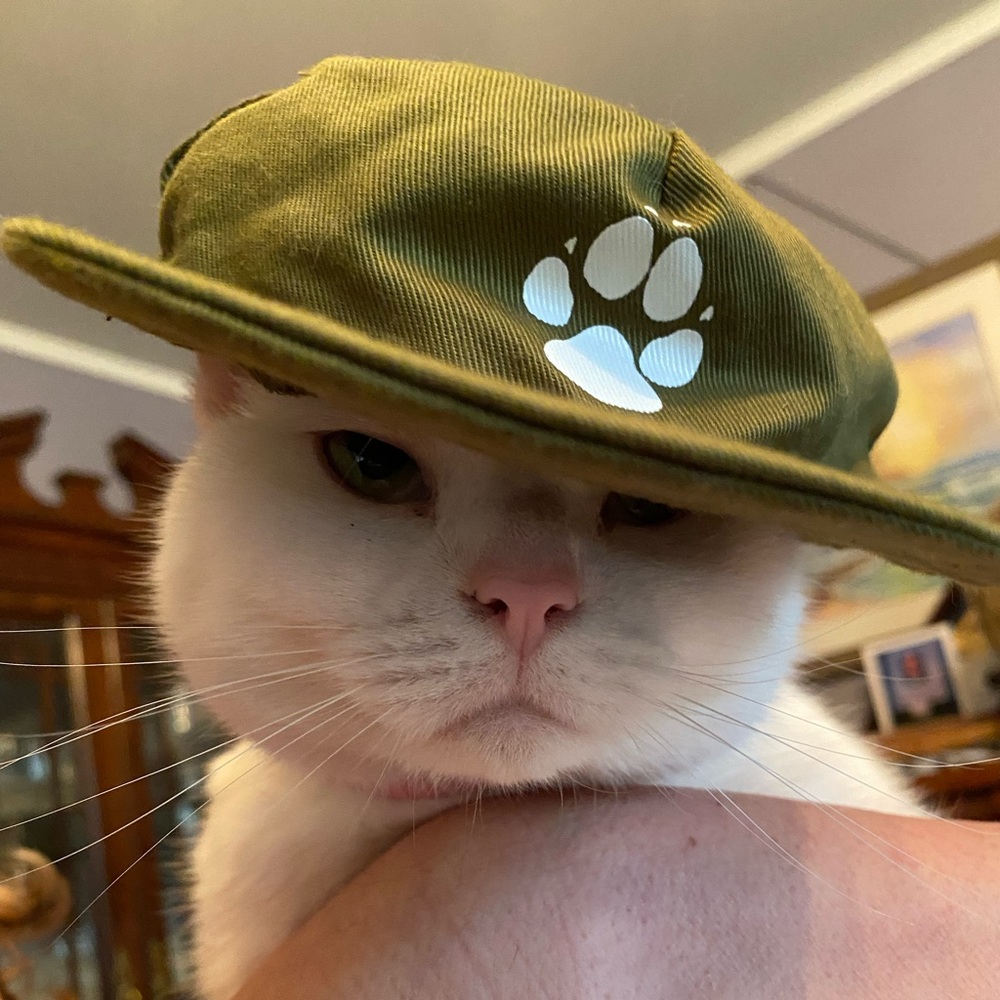 Build-A-Bear Trucker Hat 14” around green never used